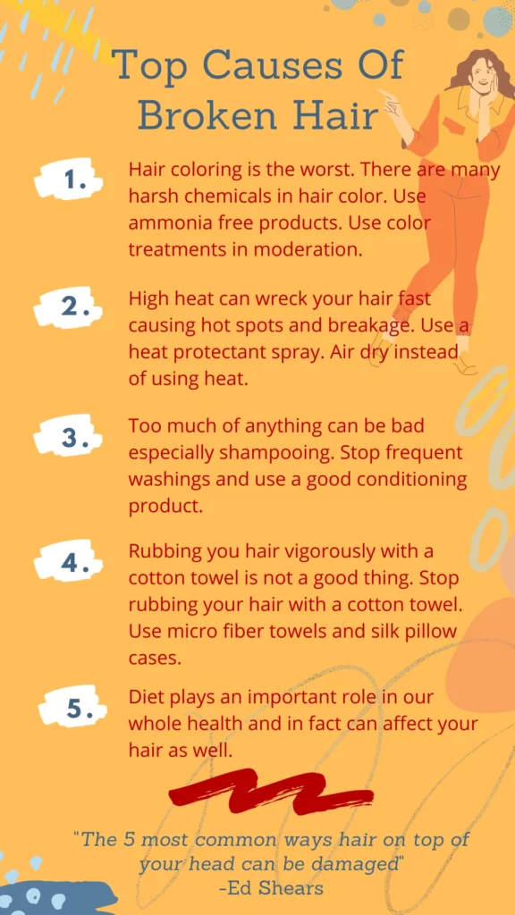 Causes Of Broken Hair Infographic - HairBrushy