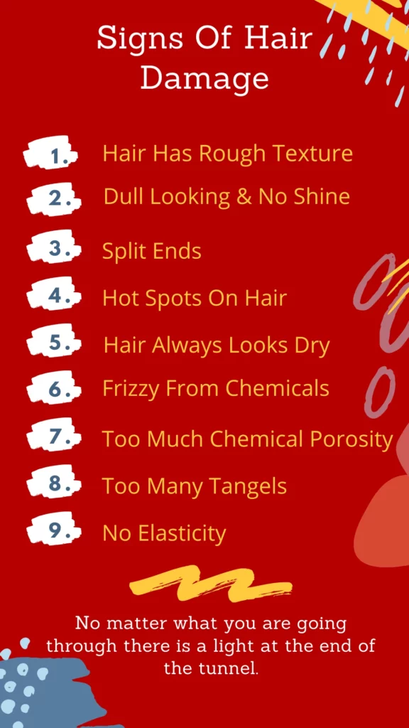 Signs Of Hair Damage - HairBrushy