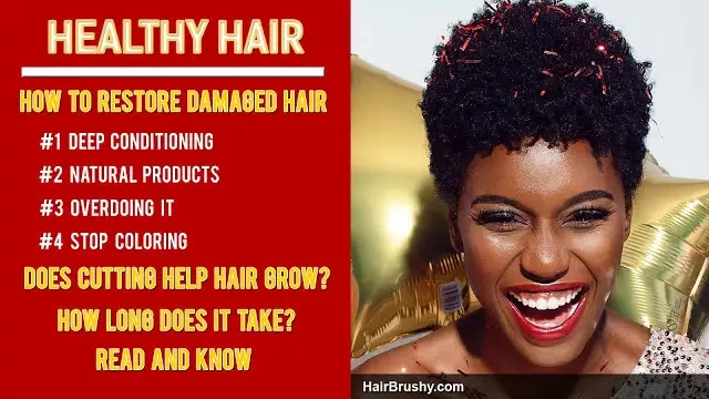 Does Damaged Hair Grow Back?