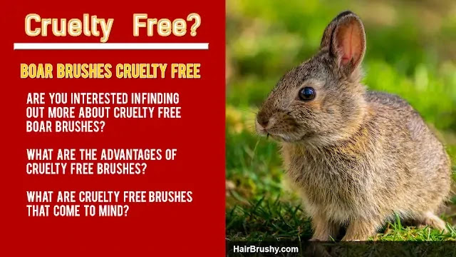Are Boar Bristle Brushes Cruelty Free