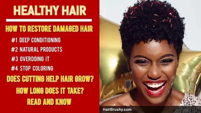 Does Damaged Hair Grow Back Healthy? – HairBrushy