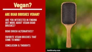 Are boar bristles brushes vegan?