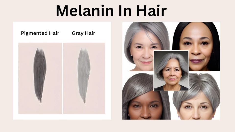 How-To-Increase-Melanin-Naturally-For-Hair