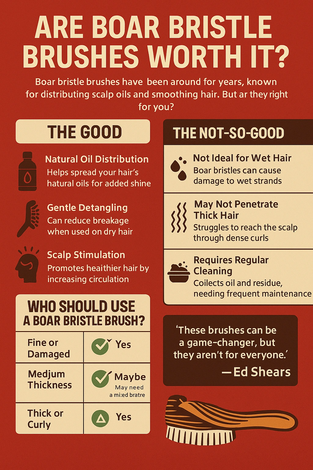 Are Boar Bristle Brushes Worth It - Infographic Are Boar Bristle Brushes Worth It? showing benefits and drawbacks of boar bristle brushes. Includes icons and brief notes on shine, oil distribution, detangling, scalp stimulation, and challenges like thick hair penetration and cleaning. Designed in a clean, red-accented HairBrushy.com style.