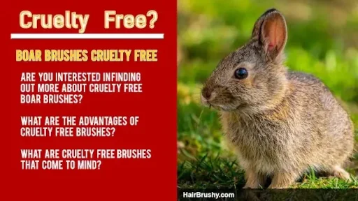 Ethical Choice: Cruelty-Free Boar Bristle Brushes