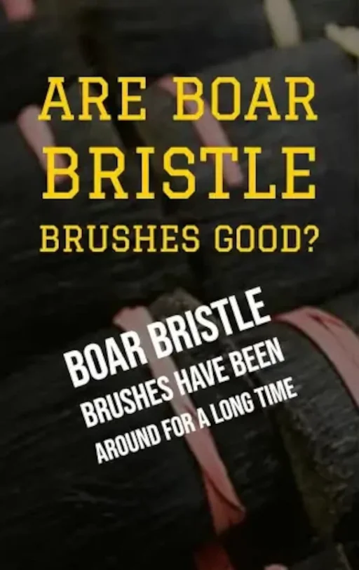 Evaluating the Effectiveness of Boar Bristle Brushes