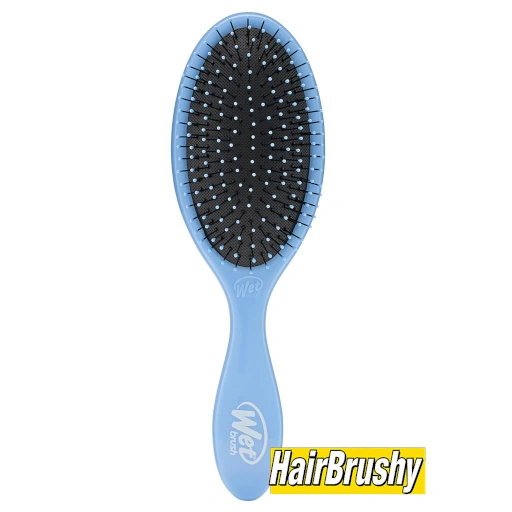 A blue Wet Brush Original Detangler with black bristles is displayed vertically against a white background. The HairBrushy logo in yellow and black is shown in the bottom-right corner.