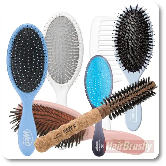A lineup of six top-rated hairbrushes for fine hair including the Mason Pearson Pocket Mix, Wet Brush Original, Ibiza Round EX Series, Olivia Garden OG Detangler, Briogeo Vegan Boar Bristle Brush, and T3 Detangle Duo, all tested and photographed by Ed Shears for HairBrushy.com